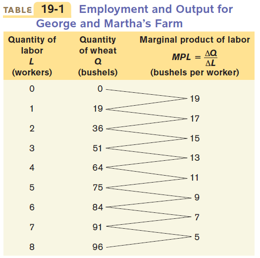 19-1 Employment and Output for TABLE George and Martha's Farm
Quantity of labor (workers) Quantity of wheat (bushels) 19 36 51 64 75
84 91 96 Marginal product of labor MPL = AL (bushels per worker) 19 17
15 13 11 