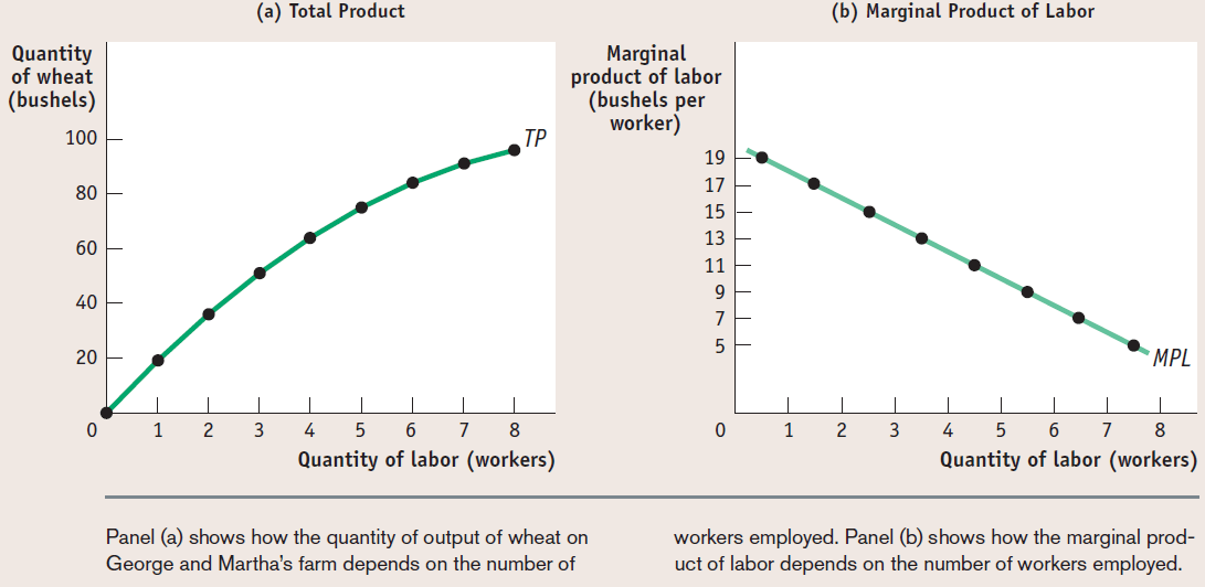 (a) Total Product (b) Marginal Product of Labor Quantity of wheat
(bushels) 100 80 60 40 20 o 1 2 3 4 5 6 7 8 Marginal product of labor
(bushels per worker) 19 17 15 13 11 9 7 5 o 1 2 3 MPL 4 5 6 7 8 Quantity
of labor (workers) Quantity of labor (workers) Panel (a) shows how the
quantity of output of wheat on George and Martha's farm depends on the
number of workers employed. Panel (b) shows how the marginal prod- uct
of labor depends on the number of workers employed.
