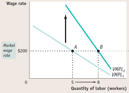 Wage rate Market wage $200 rate 5 VMPL2 VMPLI 8 Quantity of labor
(workers) 